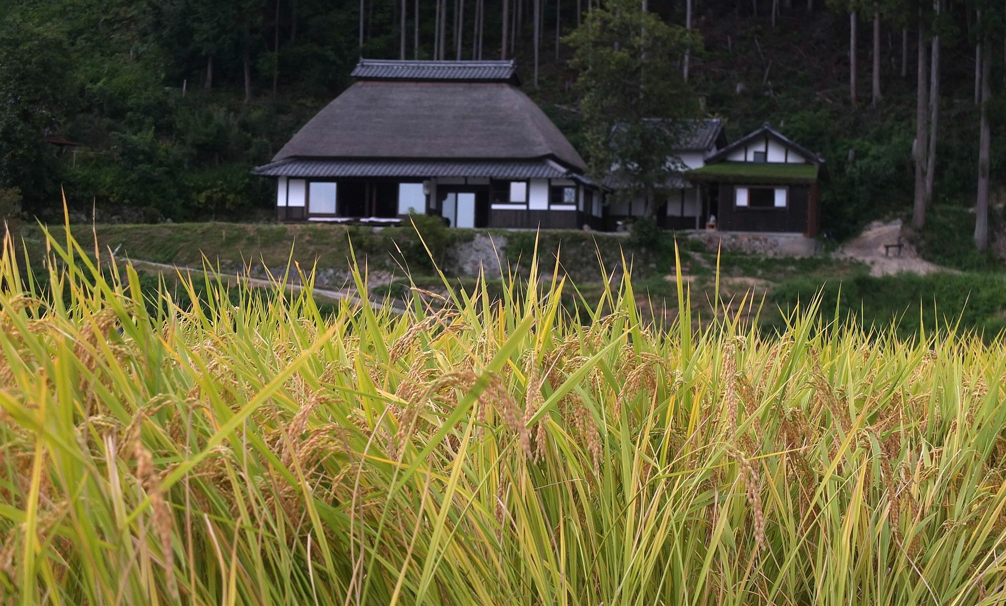 Villa Sasayuri-Ann Nara Exterior foto